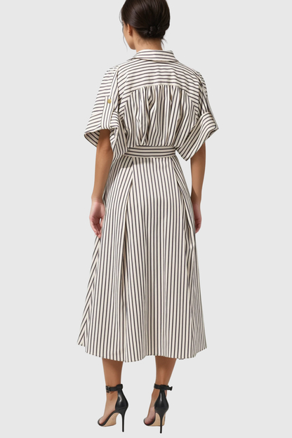 Fausto V Neck Stripe Midi Shirt Dress