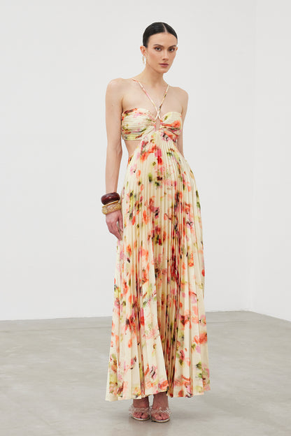 Ianuarius Halter Neck Ruch Print Maxi Dress