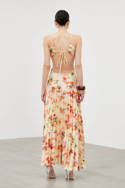 Ianuarius Halter Neck Ruch Print Maxi Dress