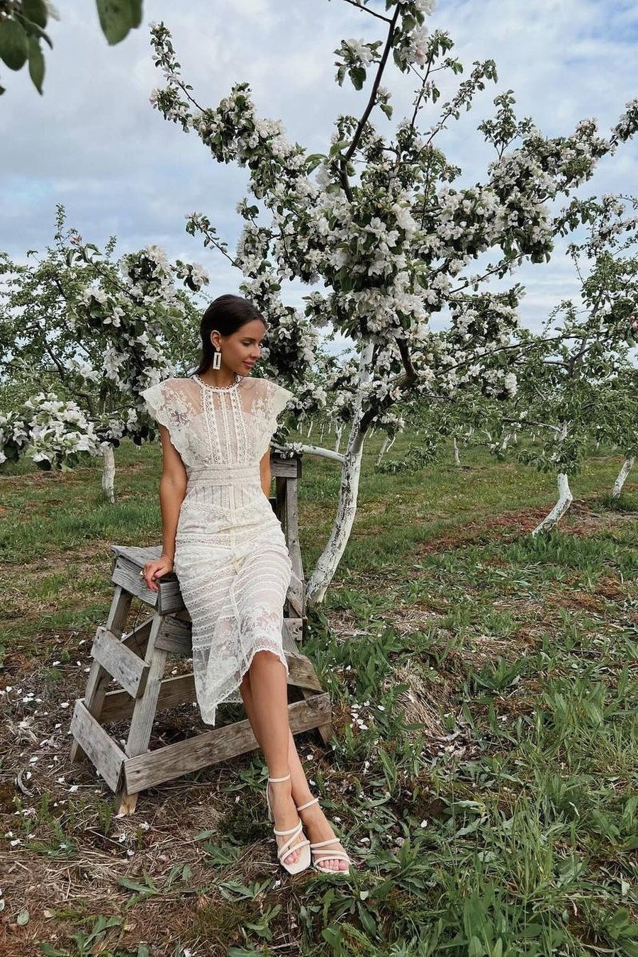 Lydia Flower Embroidered Mesh Midi Dress